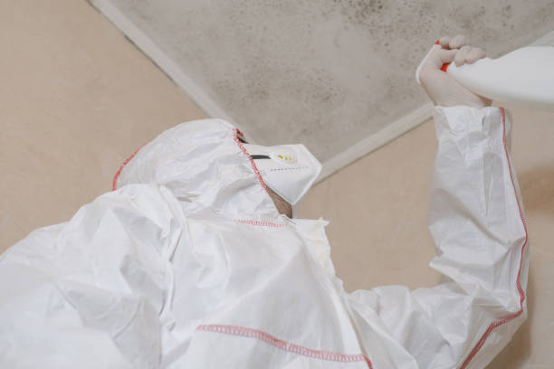 Best Residential Mold Removal  in Fairfax, SC